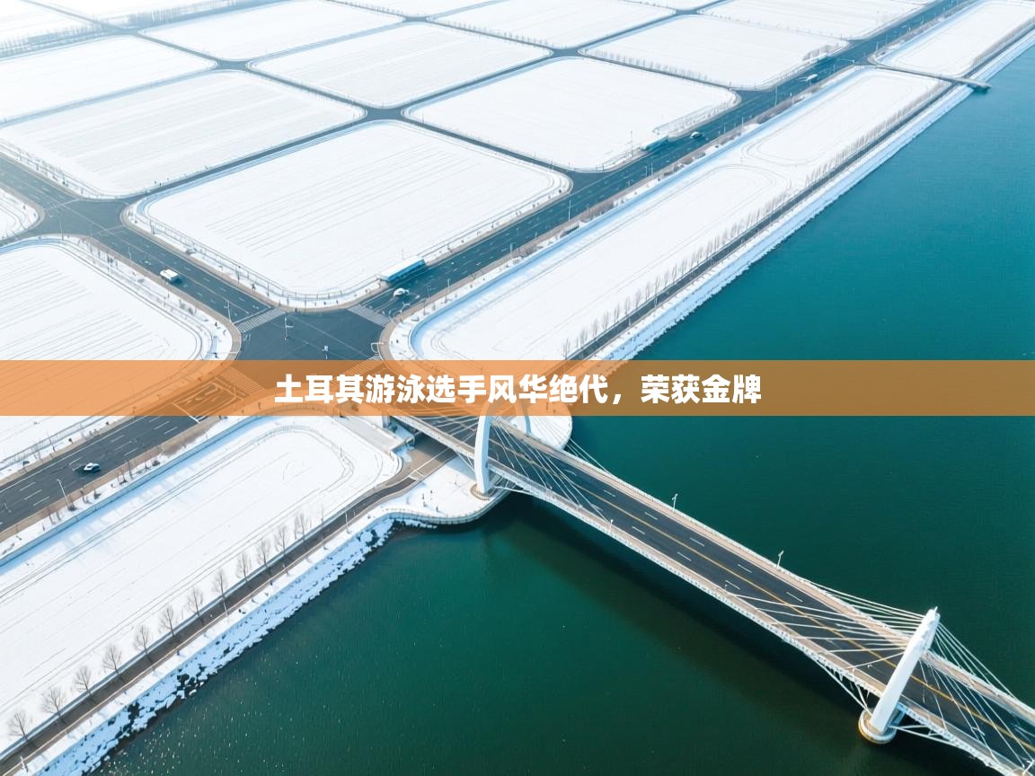 土耳其游泳选手风华绝代，荣获金牌  第2张